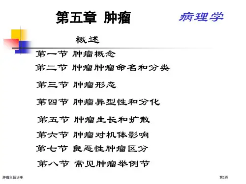 肿瘤主题讲座专家讲座