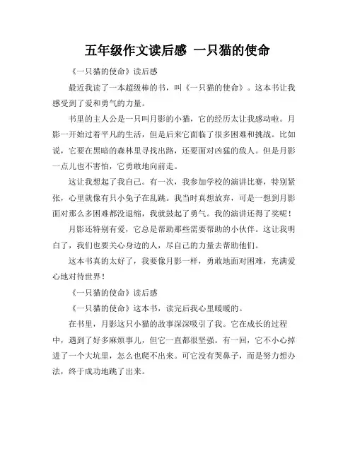 五年级作文读后感 一只猫的使命