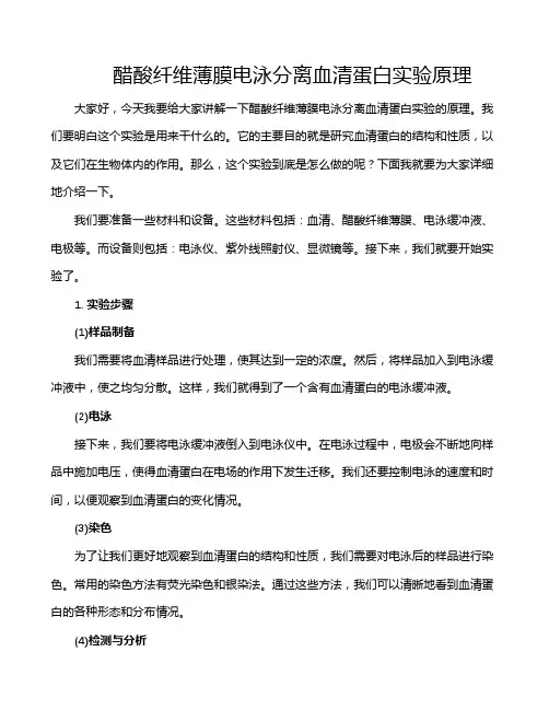 醋酸纤维薄膜电泳分离血清蛋白实验原理