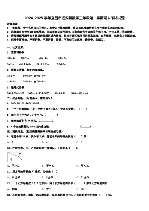 2024-2025学年宜昌市远安县数学三年级第一学期期末考试试题含解析