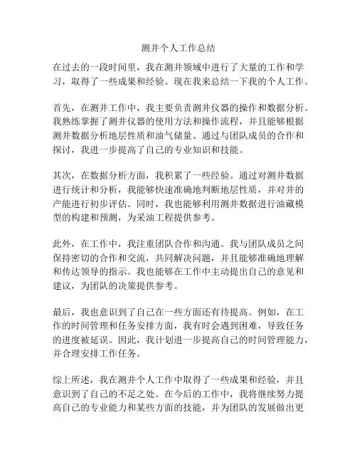 测井个人工作总结