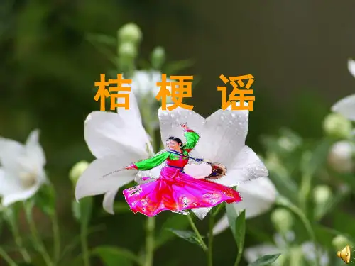 小学音乐桔梗谣公开课课件 三年级