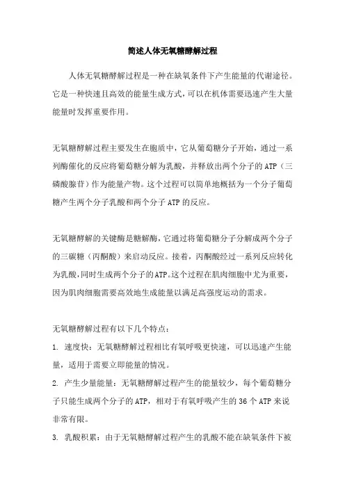 简述人体无氧糖酵解过程