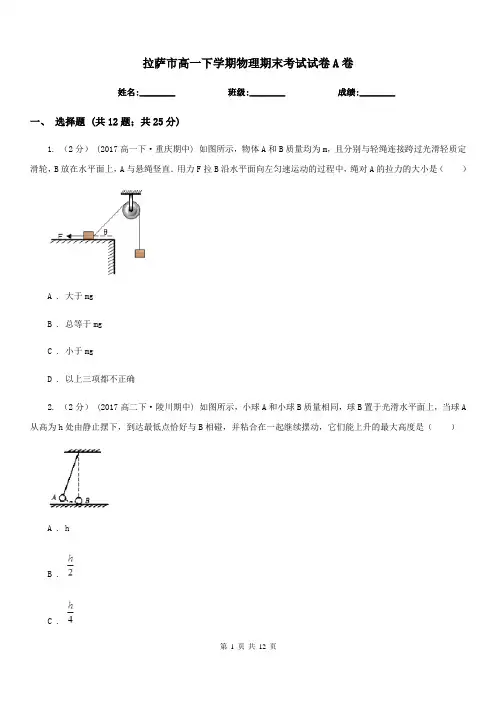 拉萨市高一下学期物理期末考试试卷A卷精版