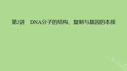 2025版高考生物一轮总复习必修2第6单元遗传的分子基础第2讲DNA分子的结构复制与基因的本质课件