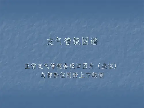 支气管镜图谱