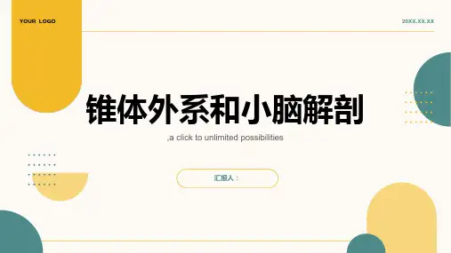 锥体外系、小脑解剖