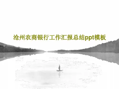 沧州农商银行工作汇报总结ppt模板38页PPT