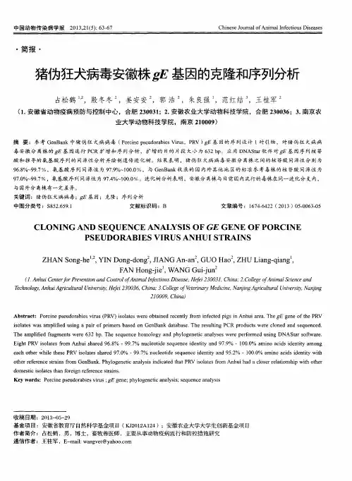 猪伪狂犬病毒安徽株gE基因的克隆和序列分析
