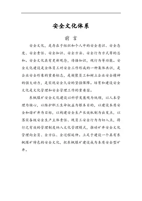 安全系统文化体系文件全资料