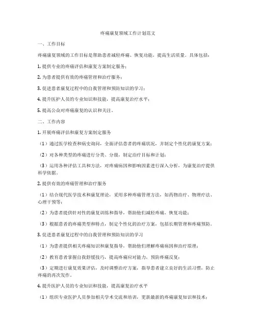 疼痛康复领域工作计划范文