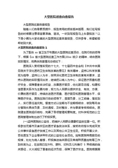 大型医院巡查自查报告