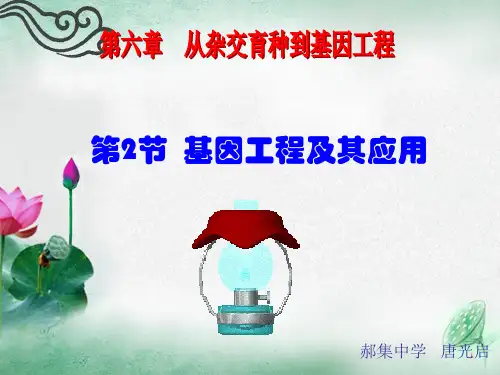 基因工程及其应用教学课件PPT