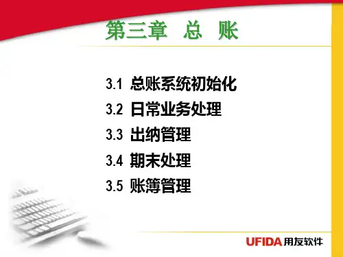 06会计电算化第三章-总账