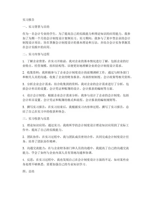会计制度设计案例实习报告