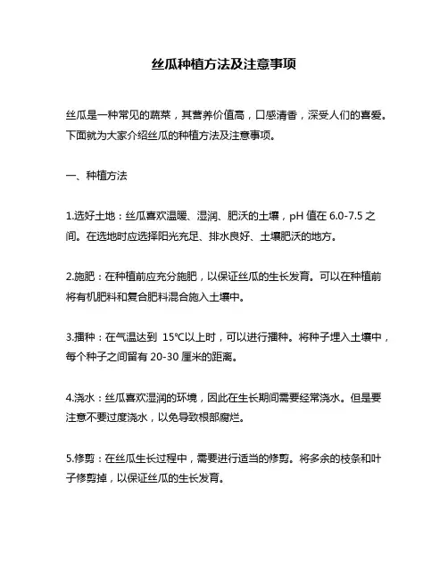 丝瓜种植方法及注意事项