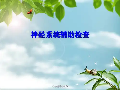 神经系统辅助检查PPT课件