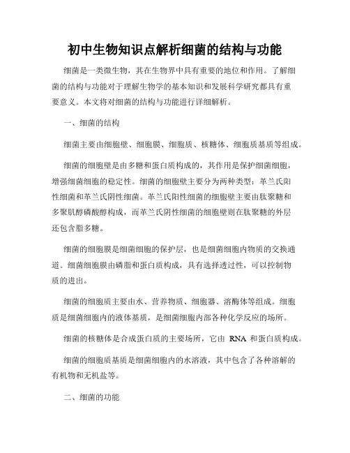 初中生物知识点解析细菌的结构与功能
