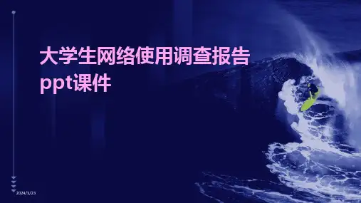 2024年度大学生网络使用调查报告ppt课件