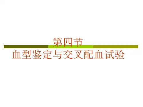 血型7版课件