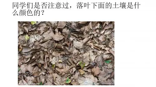 1.3肥沃的土壤