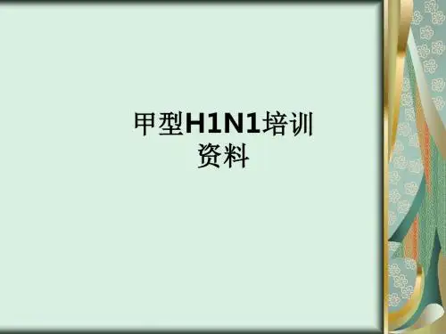 甲型H1N1培训资料ppt课件