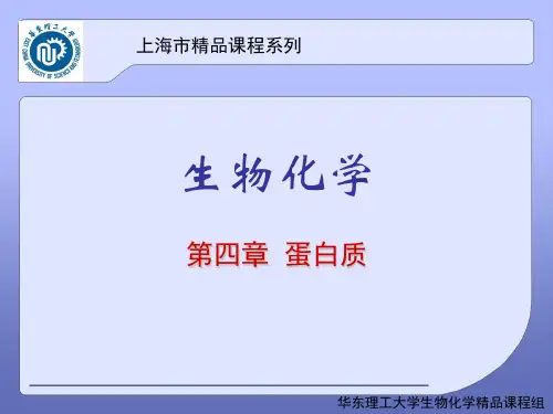 生物化学：第四章 蛋白质