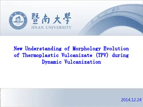 TPV动态硫化机制新理解