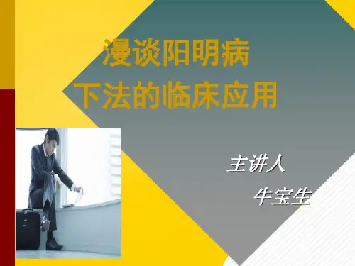 漫谈下法的应用优秀PPT资料