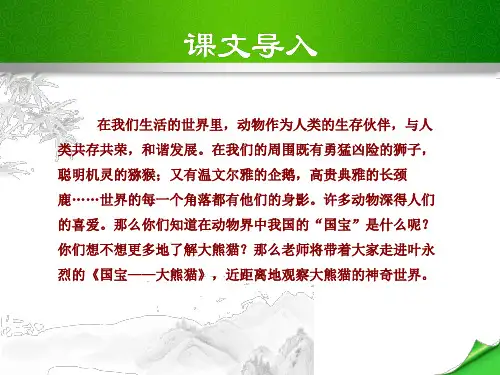 17国宝——大熊猫(苏教版七年级下册语文)【精美课件】