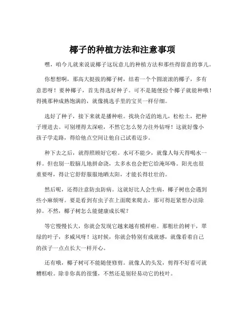椰子的种植方法和注意事项