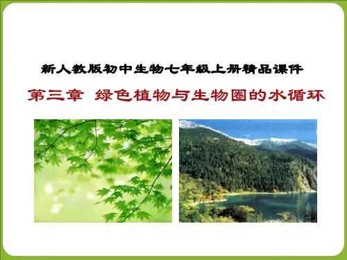 人教七上生物3.3绿色植物与生物圈的水循环 课件（34张ppt）