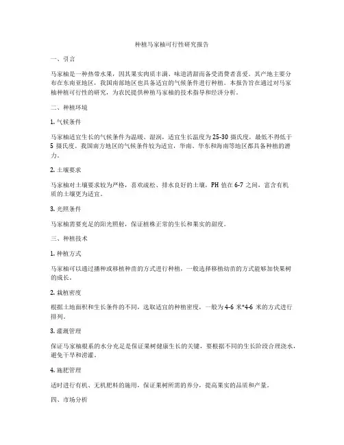 种植马家柚可行性研究报告