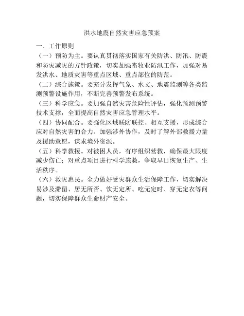 洪水地震自然灾害应急预案