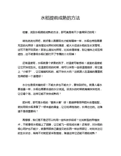 水稻提前成熟的方法