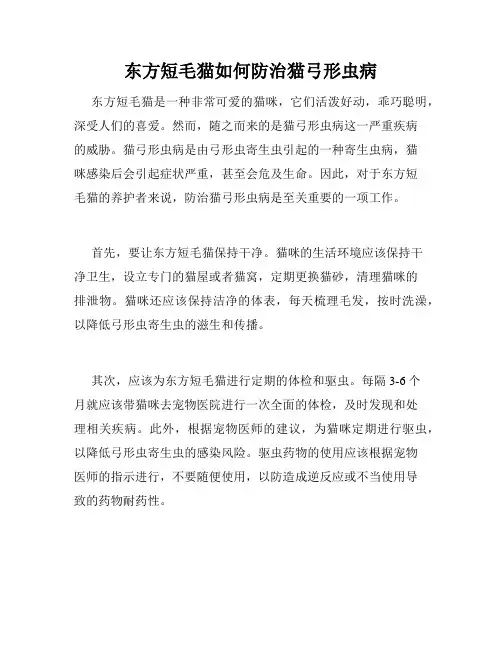 东方短毛猫如何防治猫弓形虫病
