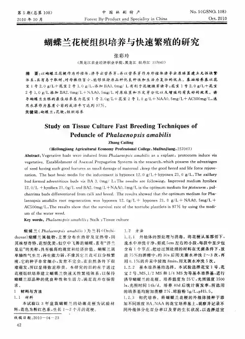 蝴蝶兰花梗组织培养与快速繁殖的研究