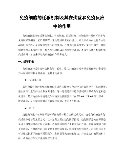 免疫细胞的迁移机制及其在炎症和免疫反应中的作用