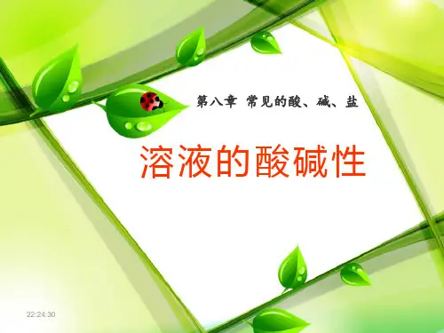 《溶液的酸碱性》常见的酸、碱、盐PPT课件