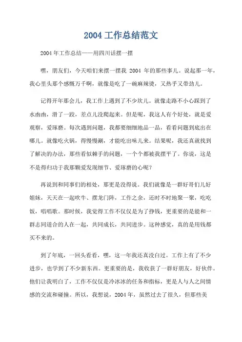 2004工作总结范文