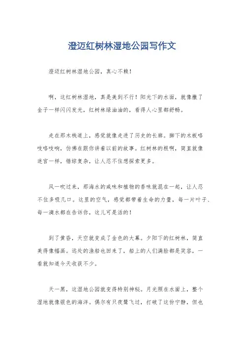 澄迈红树林湿地公园写作文