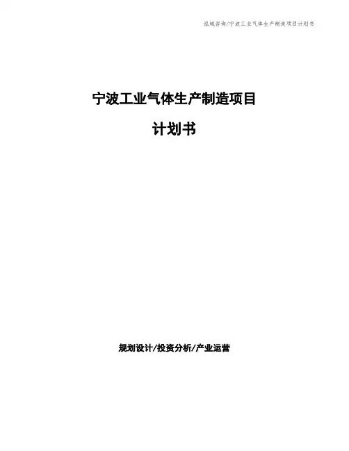 宁波工业气体生产制造项目计划书