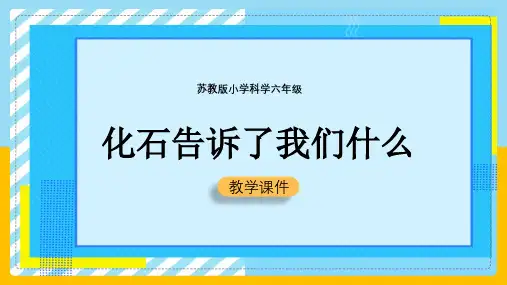 小学科学苏教版六年级全册《3.2化石告诉了我们什么》教学课件