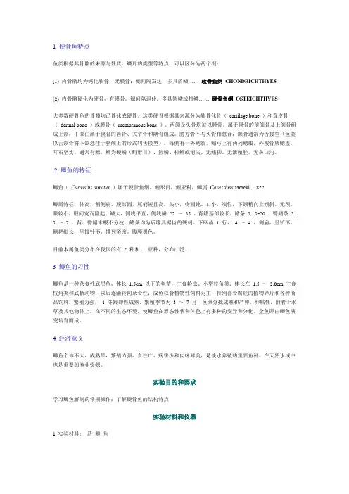 鲫鱼解剖