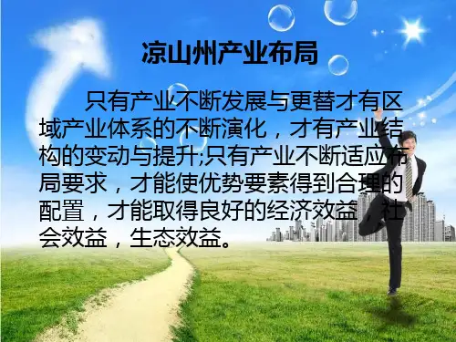 凉山州产业布局