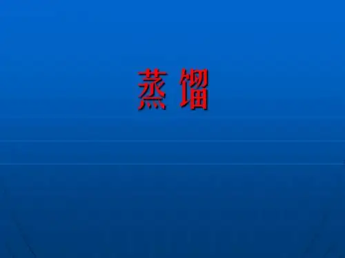 蒸馏课件