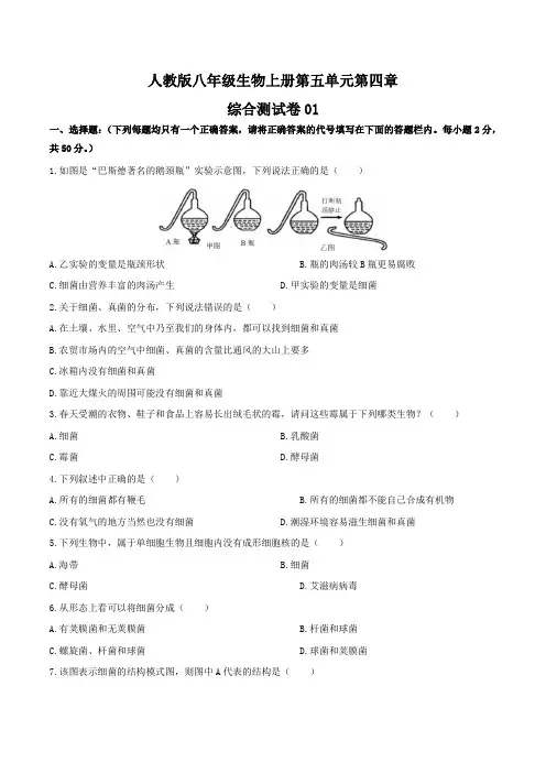 人教版八年级生物上册第五单元第四章《细菌和真菌》综合测试卷三套及答案