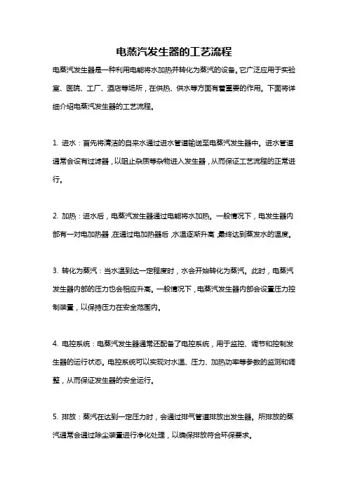 电蒸汽发生器的工艺流程