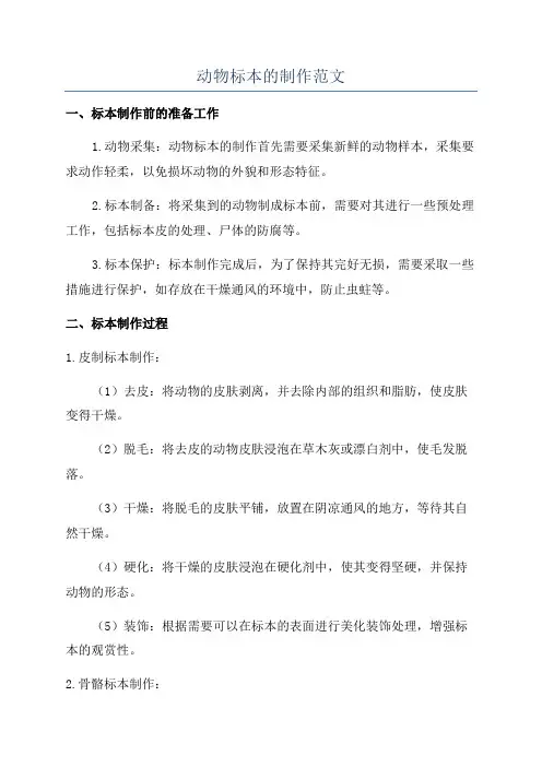 动物标本的制作范文