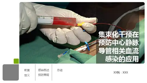 集束化干预在预防中心静脉导管相关性血流感染的应用PPT课件